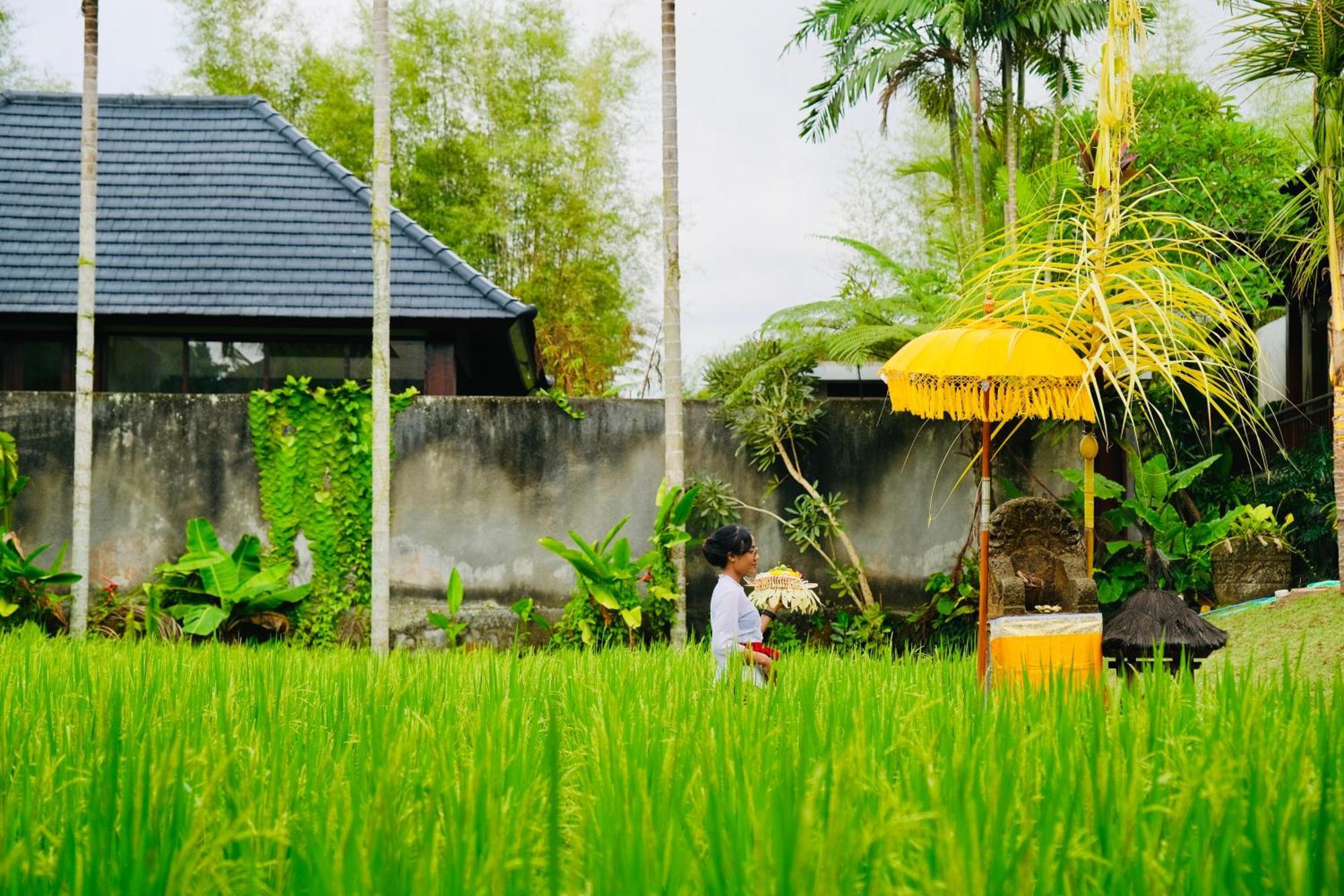 Wana Karsa The Villas Ubud Kültér fotó